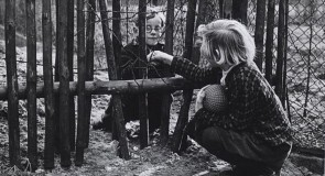 50 jaar Berlijnse Muur: een kloof die dichtgroeit?