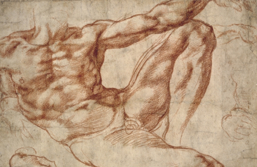 De schetsen van Michelangelo zijn kunstwerken op zich. Hierboven een studie van een mannelijk naakt dat model stond voor Adam op het plafond van de Sixtijnse kapel. (Foto: Wikimedia).