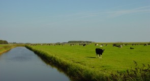 Veranderend landschap
