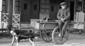 De trekhond: “de schande onzer natie”