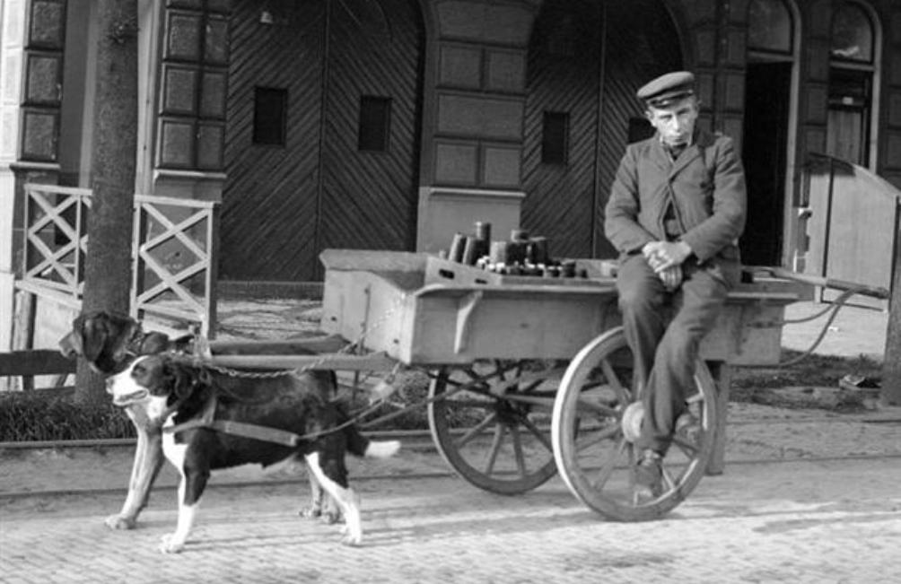 Hondenkar in 1904. 
