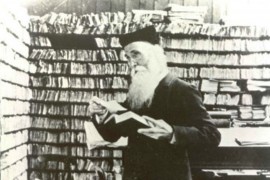 Gezocht: Meanderings of memory