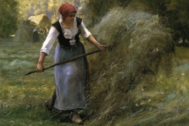 Waarom heet hooikoorts zo?