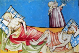 Quarantaine: Italiaanse builenpestpreventie