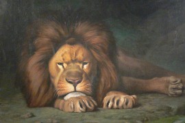 Waarom de leeuw het leeuwendeel krijgt