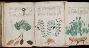 Het mysterie van het Voynich-manuscript